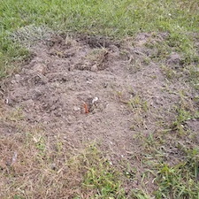 demo-gallery 1